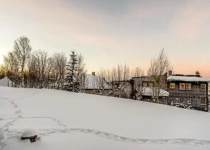 Ecological Wood House With A Garden *